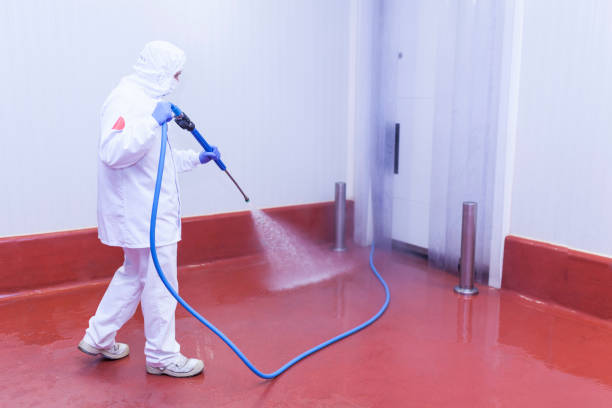 Trusted Winnemucca, NV Pressure Washing Services Experts